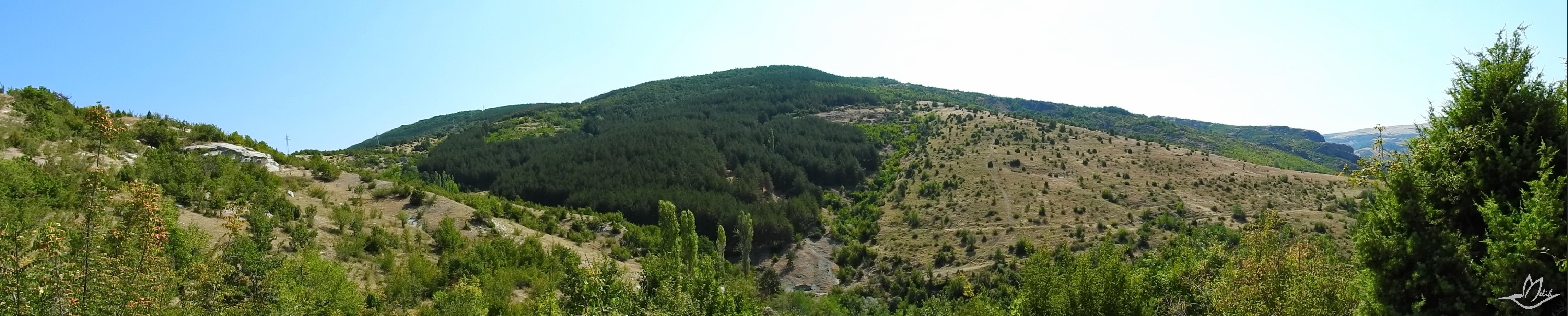 Panorama