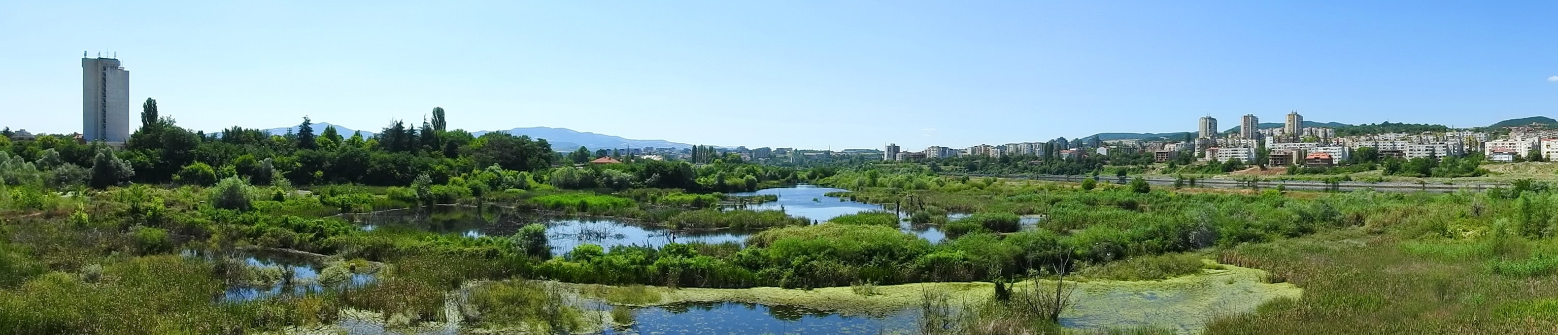 Panorama