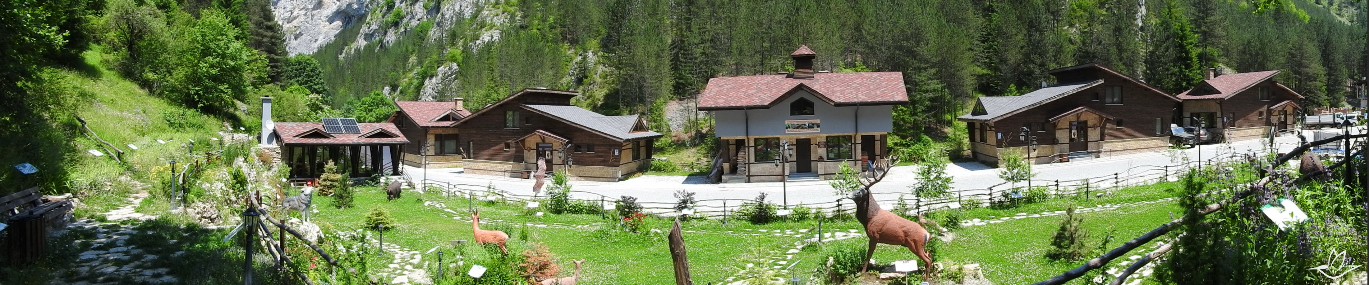 Panorama