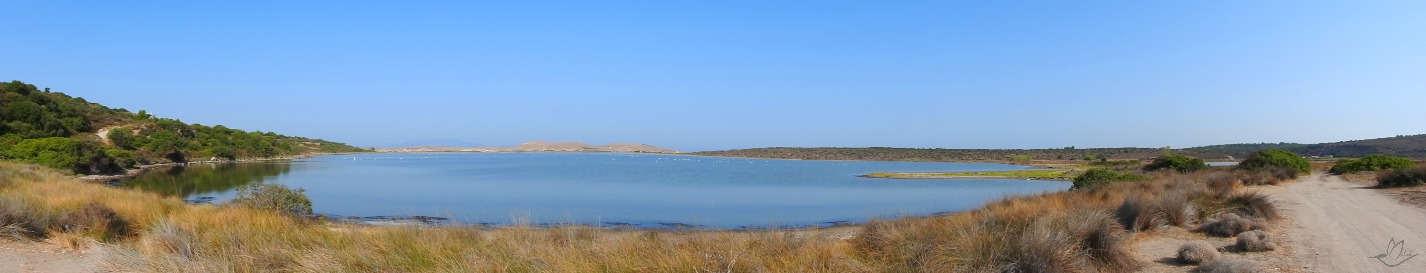Panorama