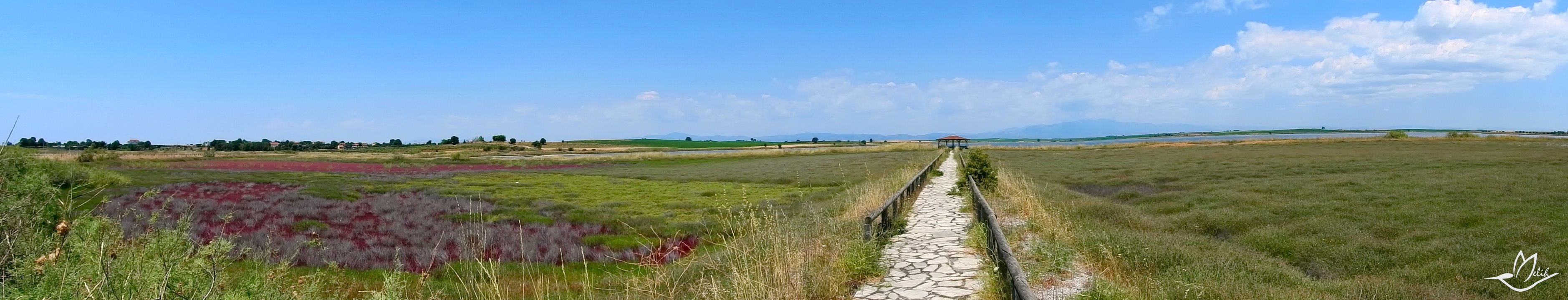 Panorama