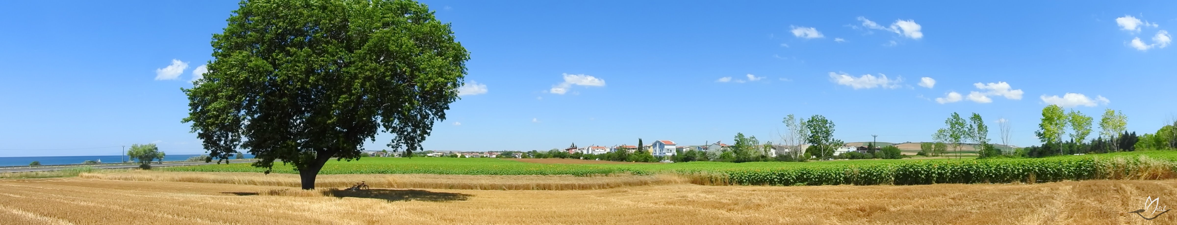 Panorama