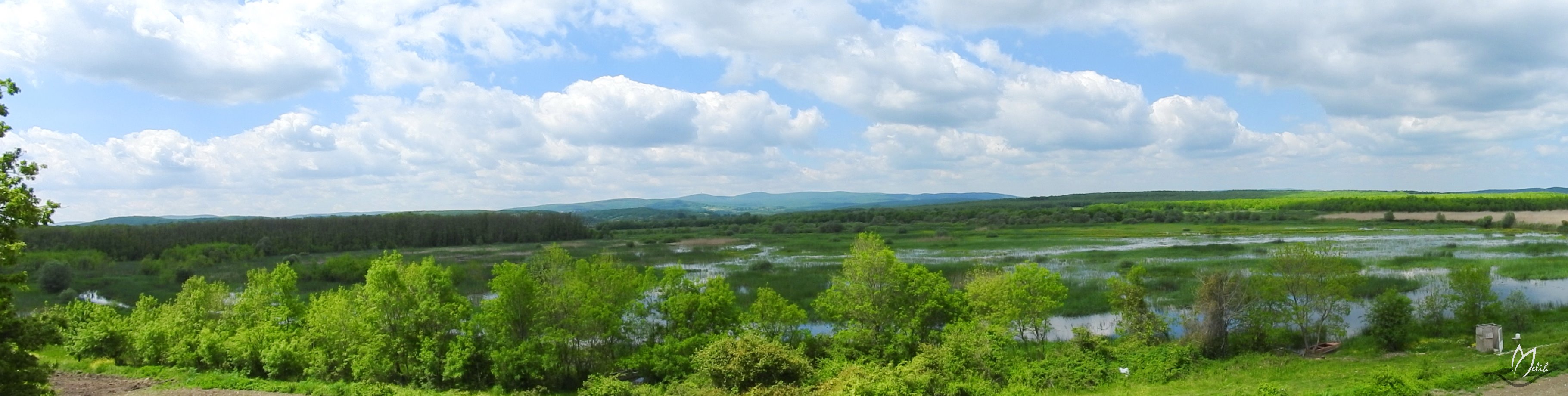 Panorama