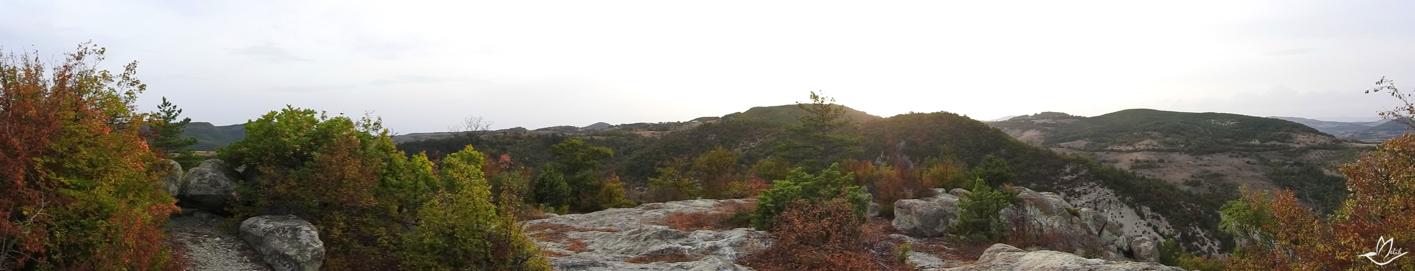Panorama
