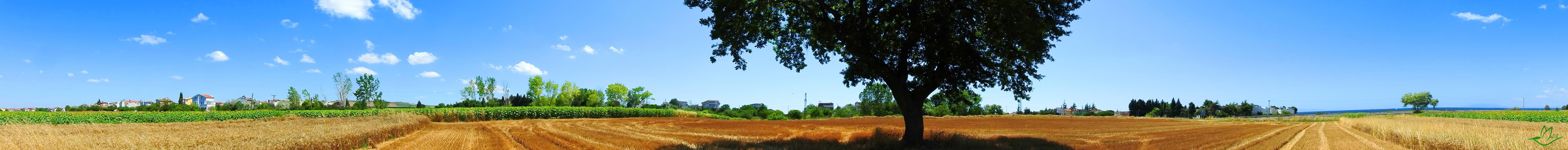 Panorama