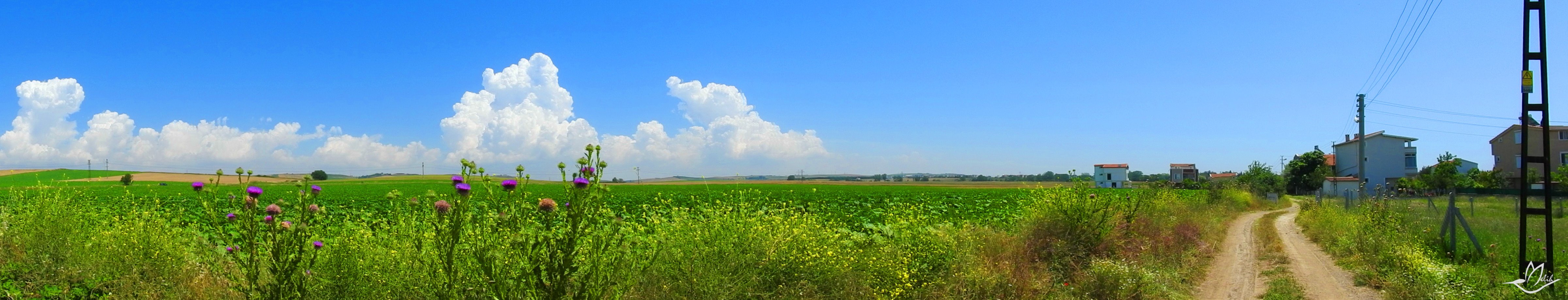 Panorama