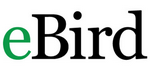 eBird / eKuşbank