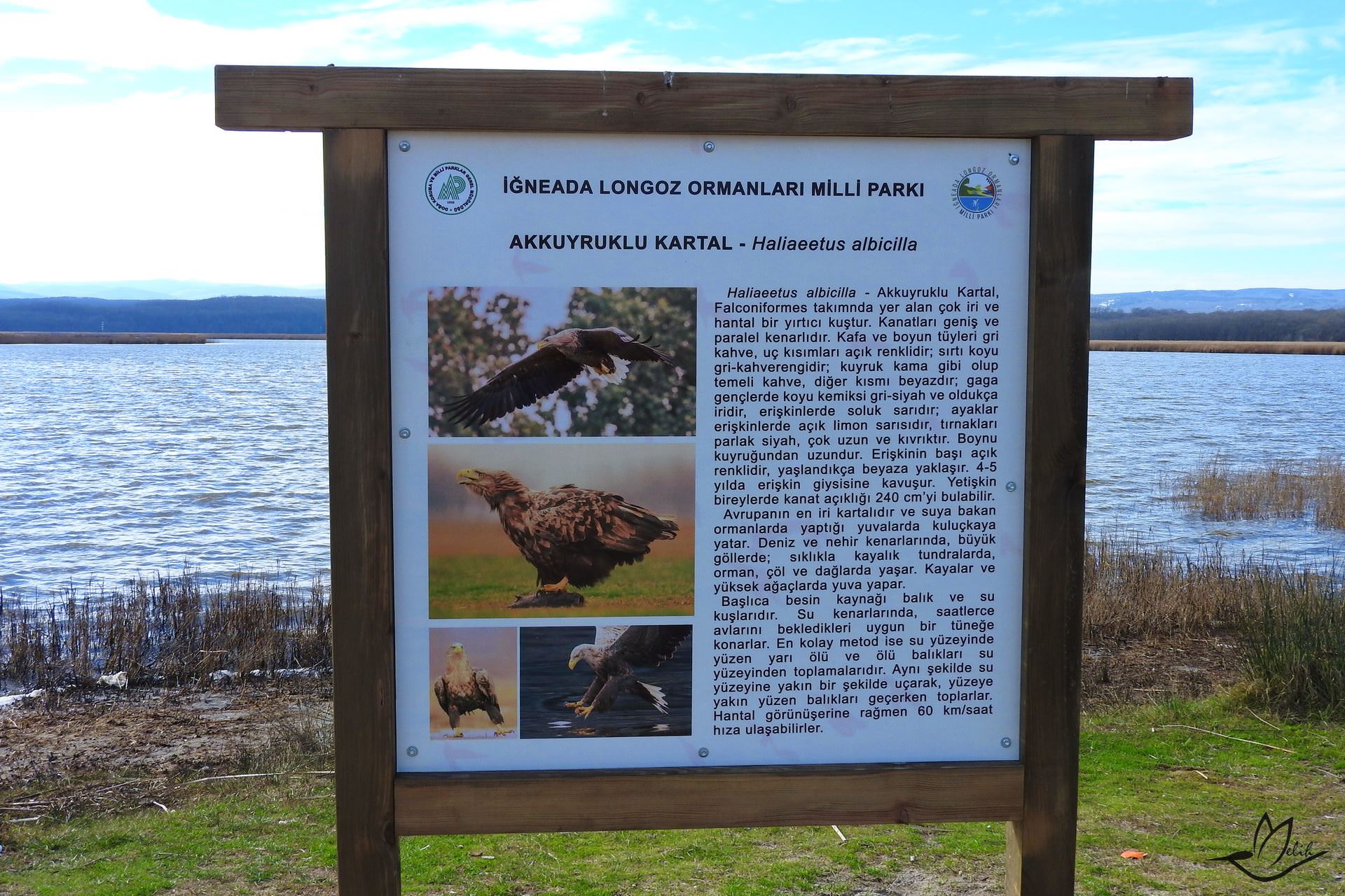 İğneada Longoz Ormanları
