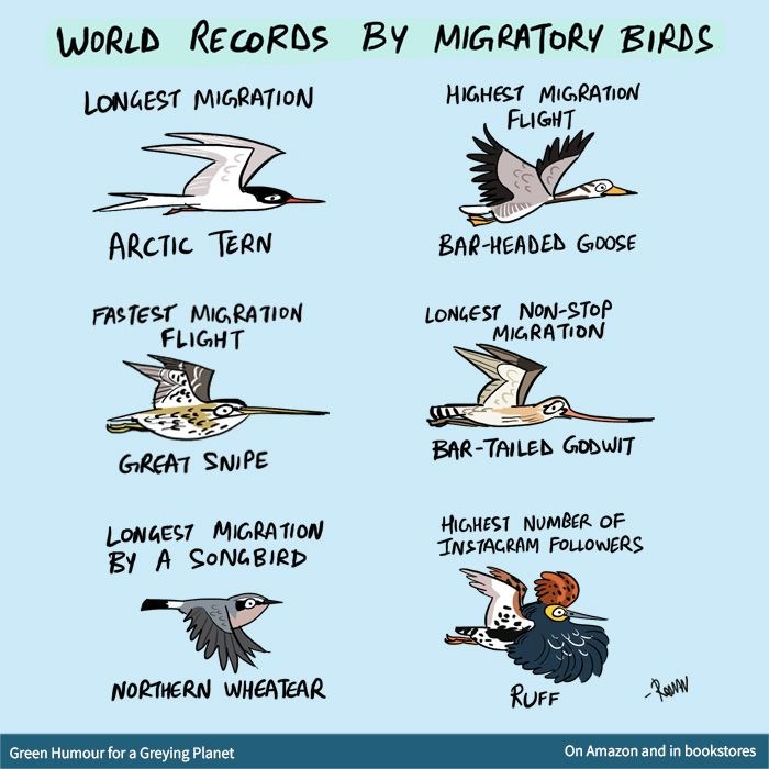 Cartoon from book Green Humour for a Greying Planet